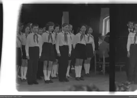 VAR-11-53-1