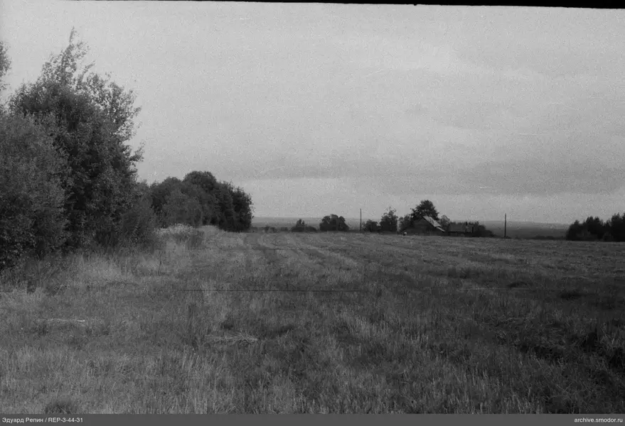 Landschaft mit Feld und Baumreihe