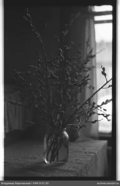 Willow branches in a jar on a table