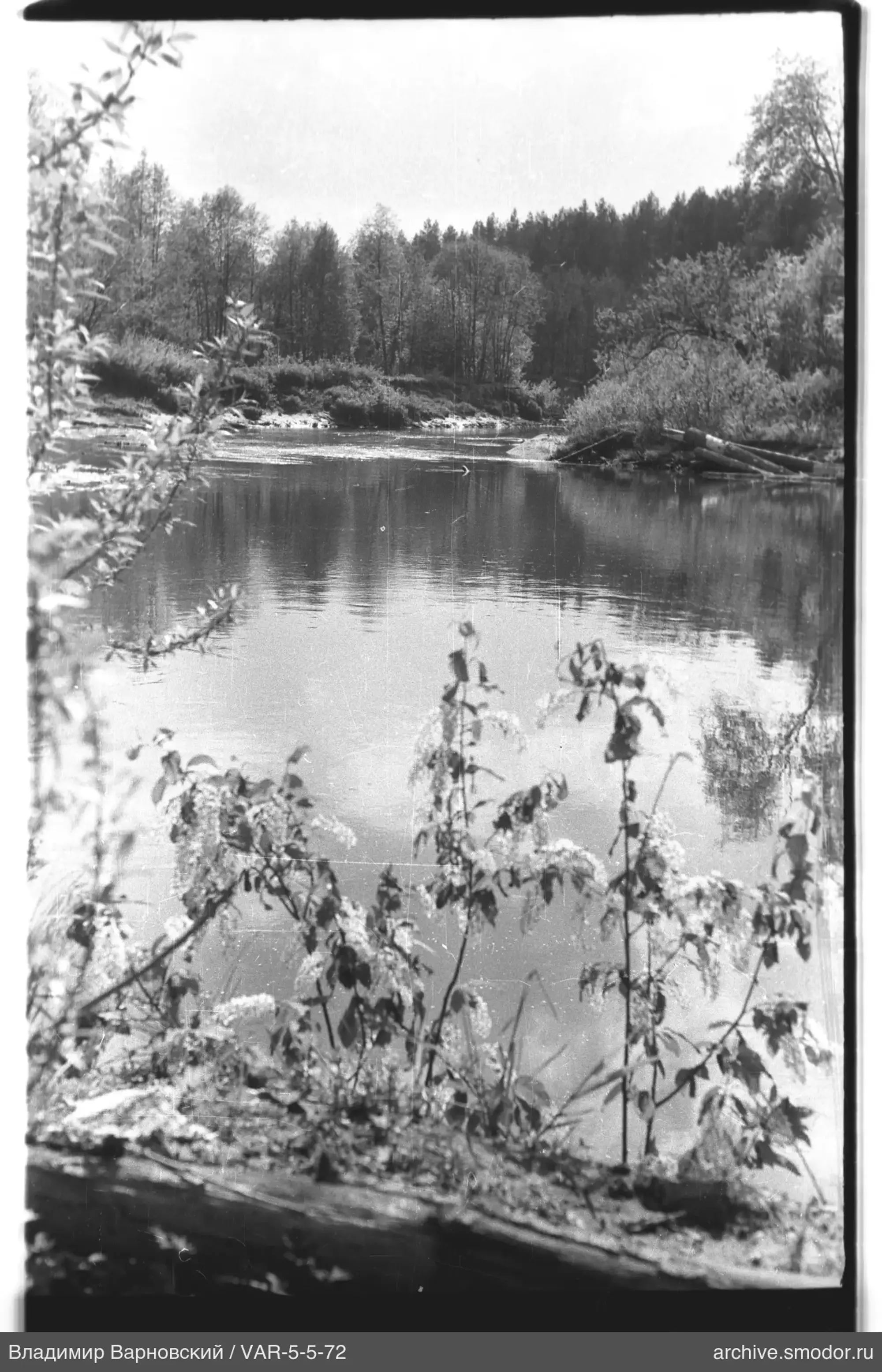 River with reflection and bushes in foreground