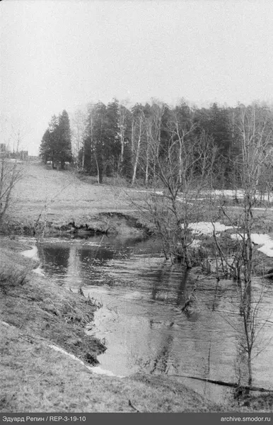 Fluss mit Ufern und Wald