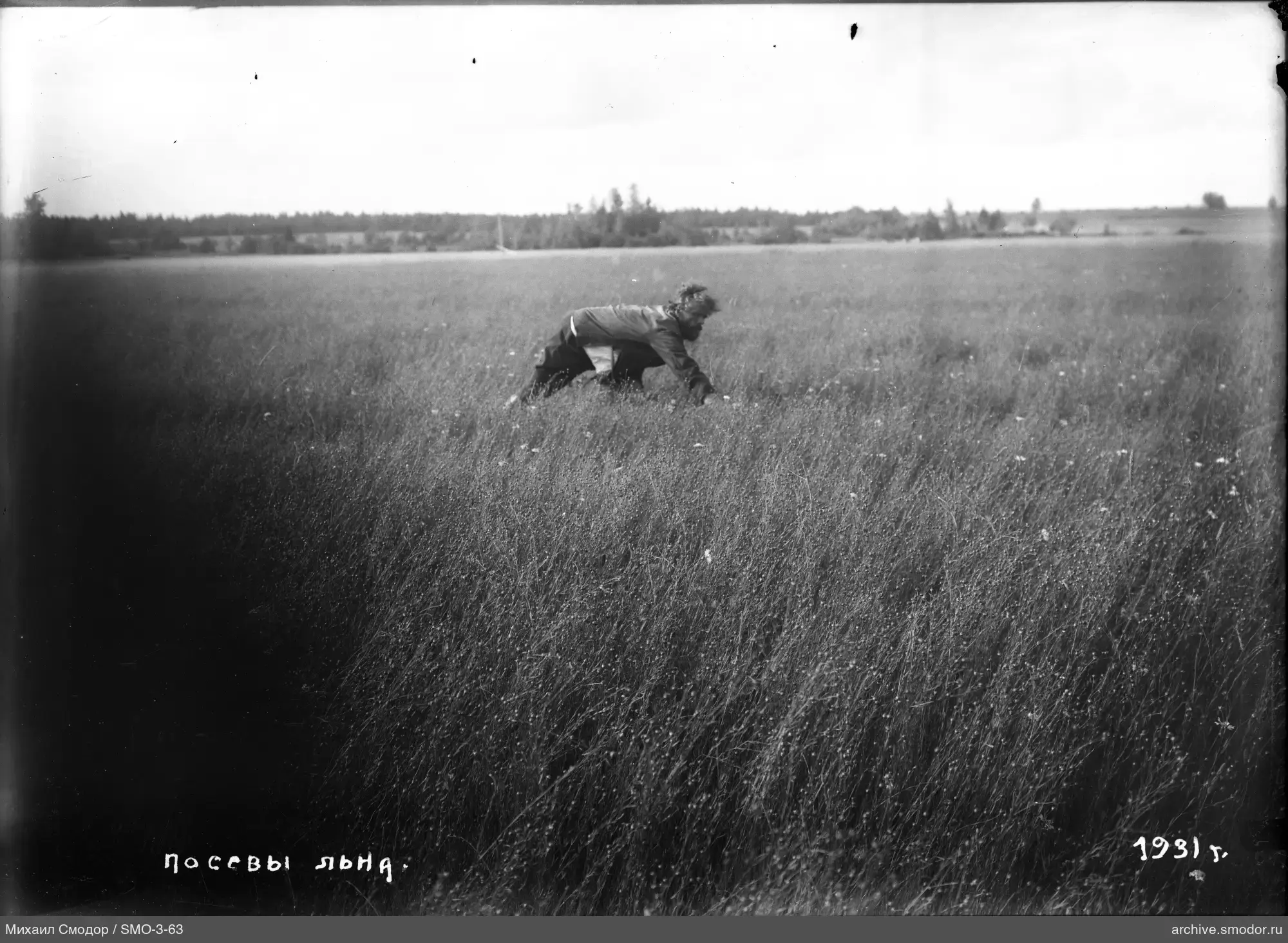 Mann im Feld mit Flachsfeldern