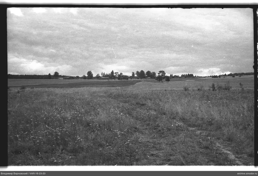 Landschaft mit Feld und Bäumen