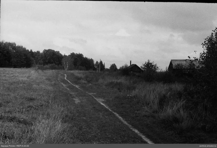 Schotterstraße durch Feld und Wald