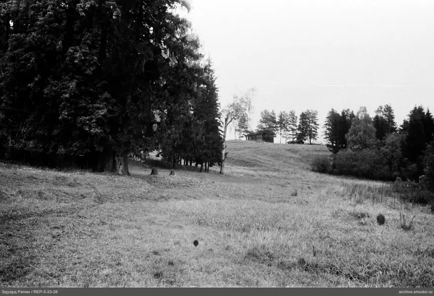 Landschaft mit Bäumen und Haus