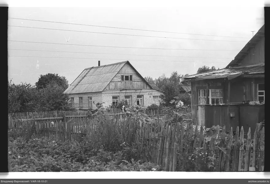 Holzzaun und Häuser vor Bäumen