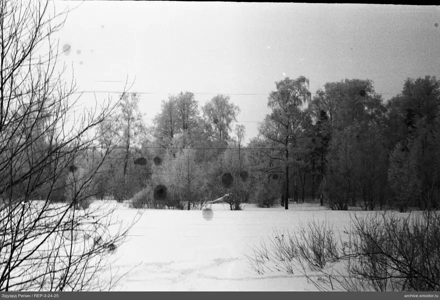 Landschaft mit verschneitem Feld und Bäumen