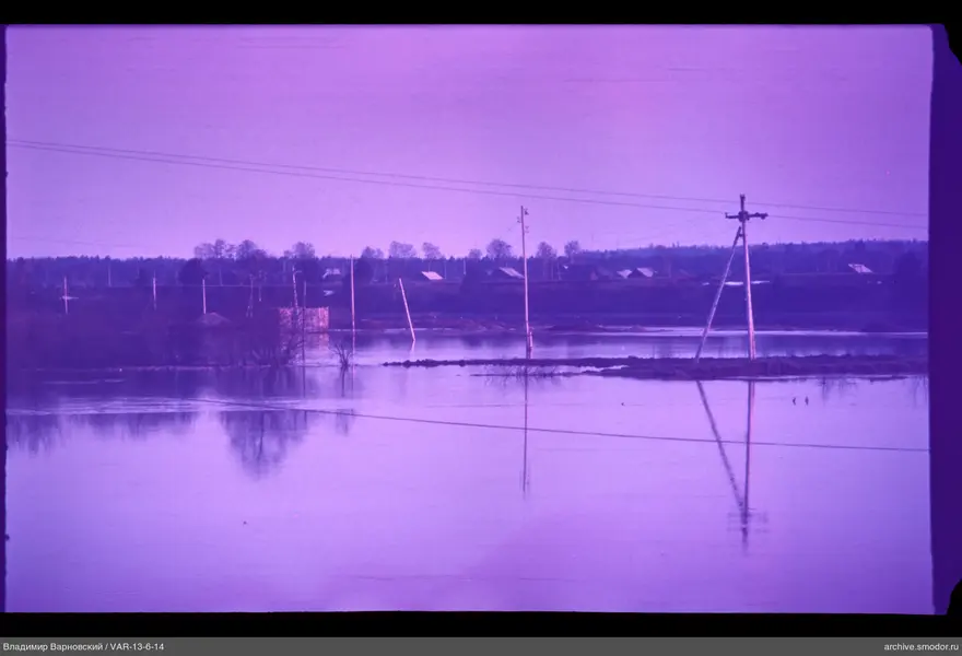 Floodplain with power line reflections