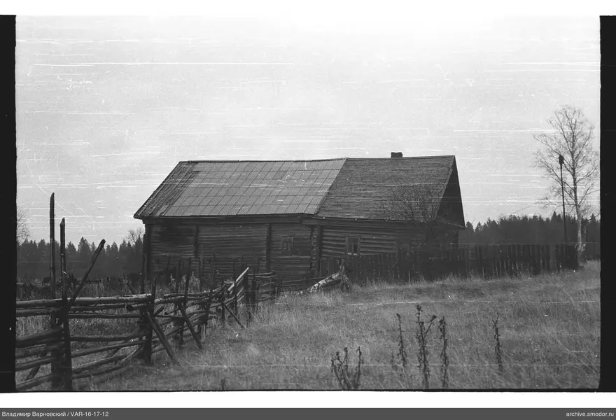 Holzhaus mit Metalldach und Umgebung
