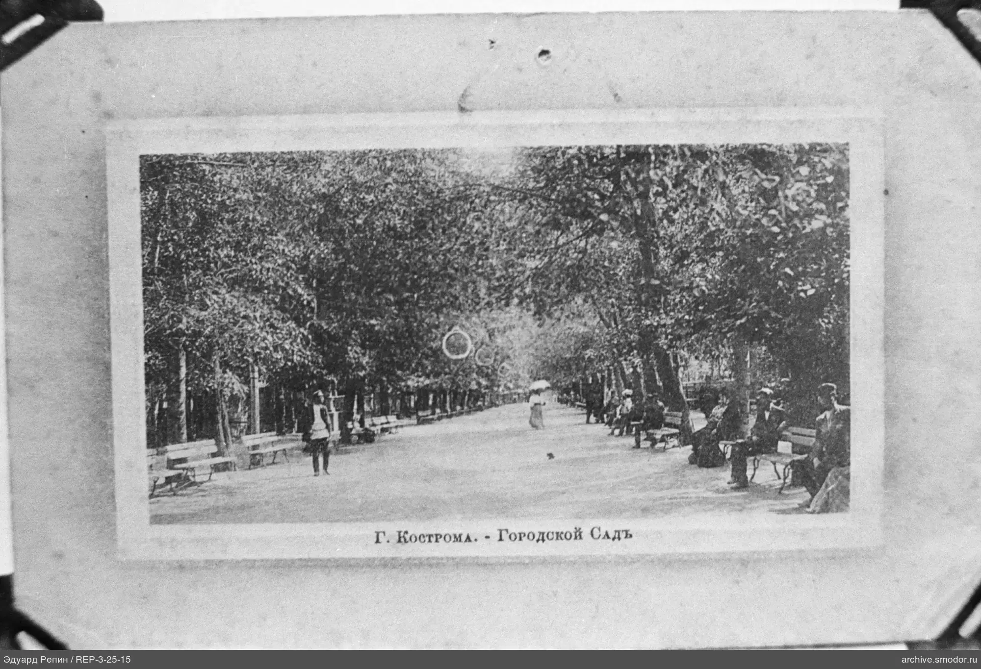 Allee im Stadtgarten mit Bänken und Bäumen