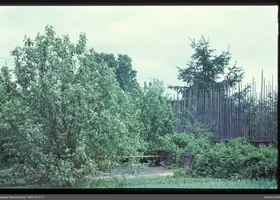 VAR-13-31-3