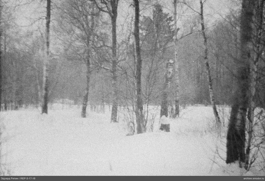Winterwald mit Birken und Schnee