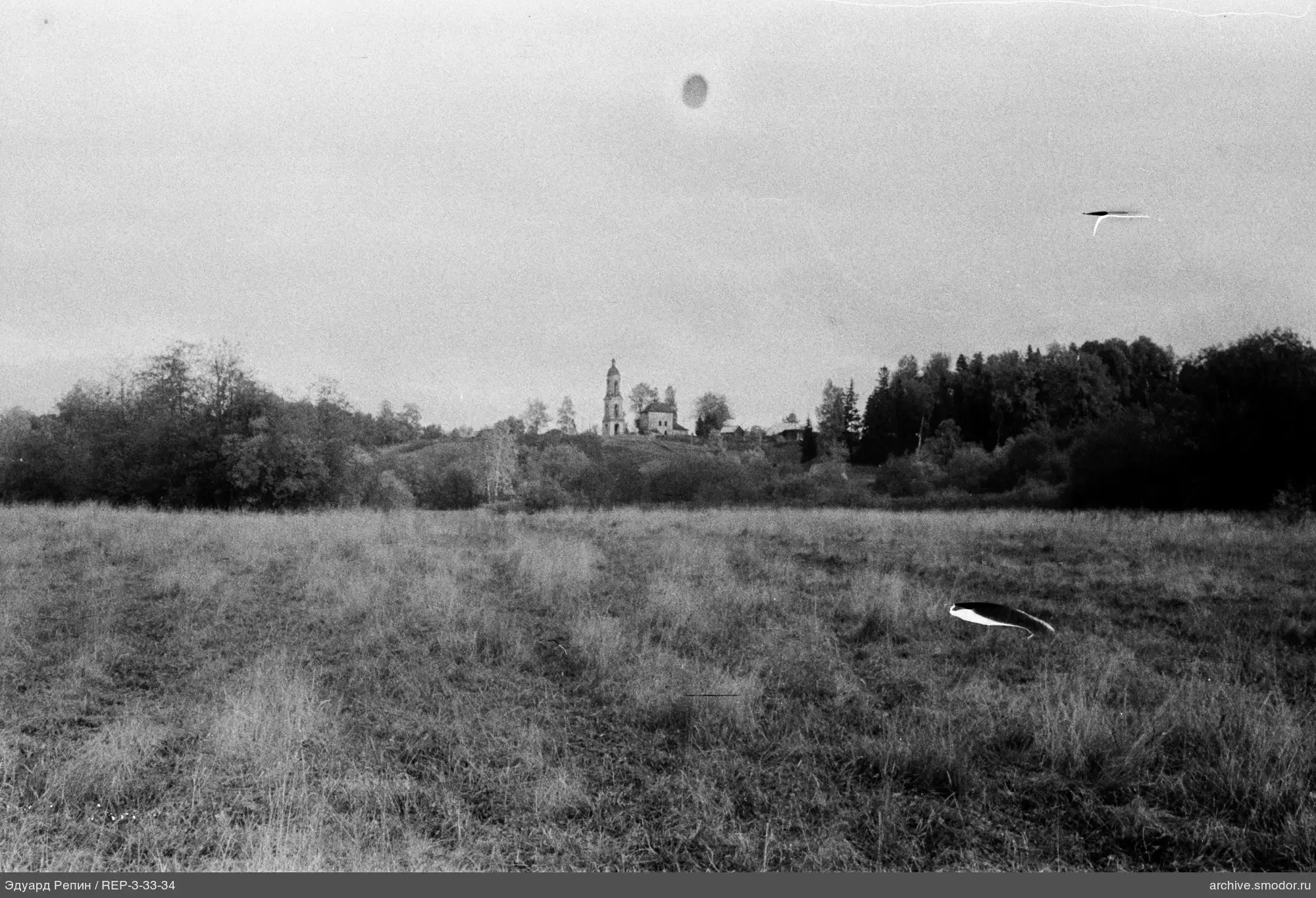 Church on a hill among trees
