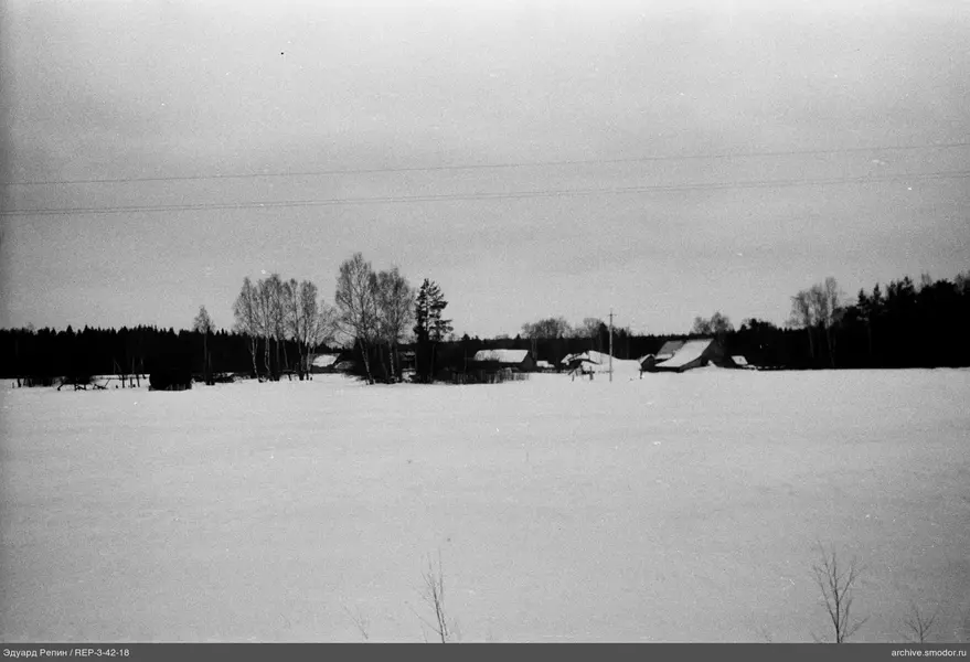 Schneebedecktes Feld mit Bäumen und Häusern