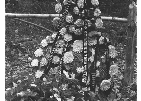 VAR-6-9-9