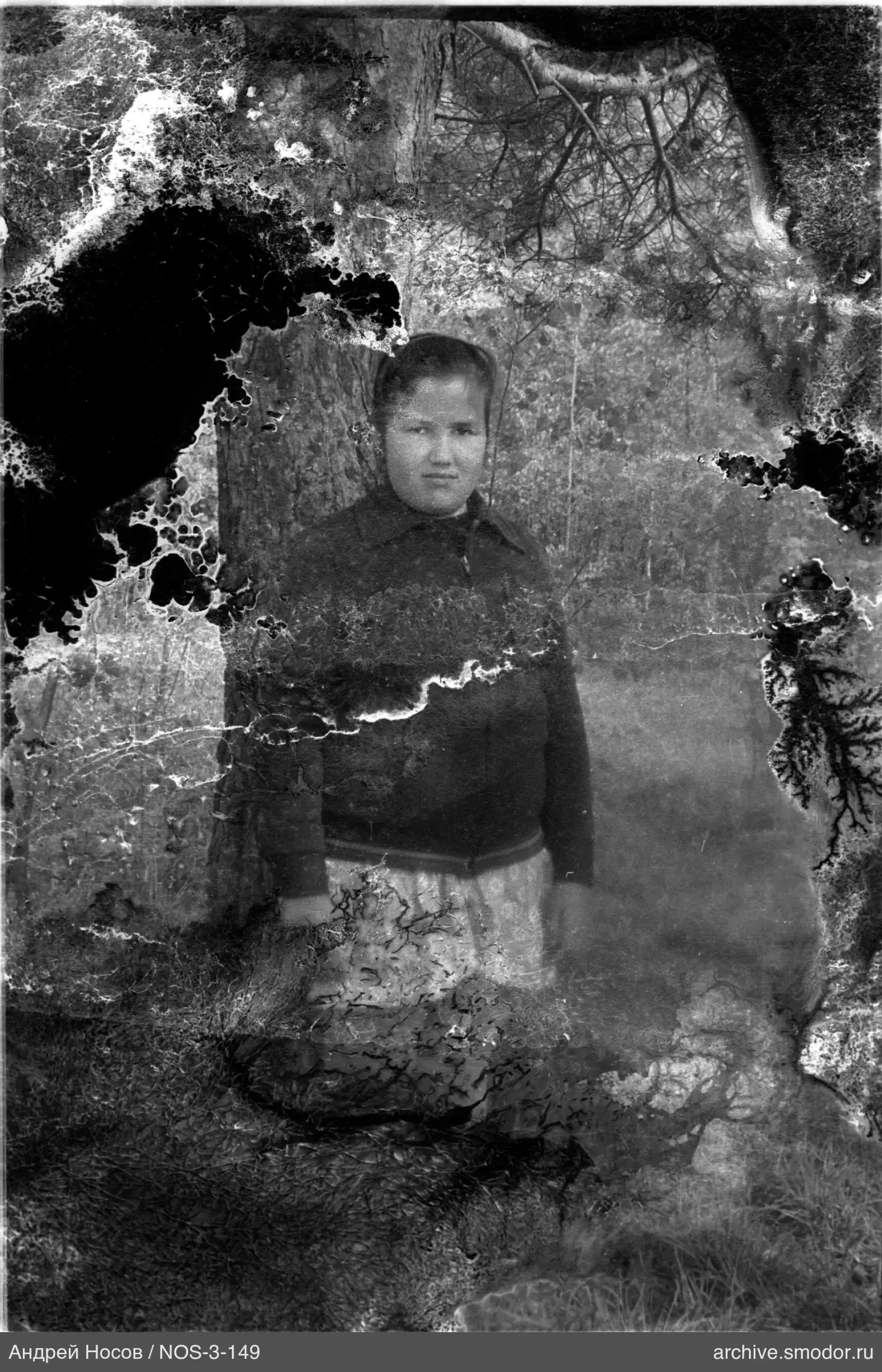 Портрет женщины у дерева