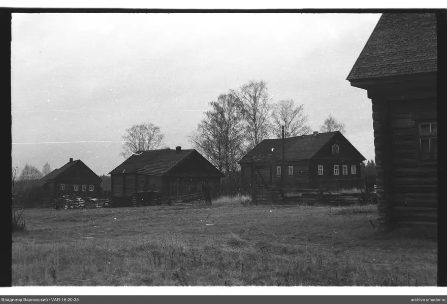 Holzhäuser bei Feld und Bäumen