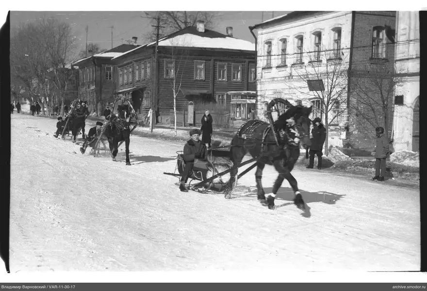 Санные упряжки на заснеженной улице