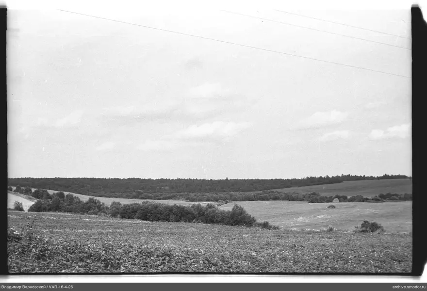 Landschaft mit Feldern und Wald