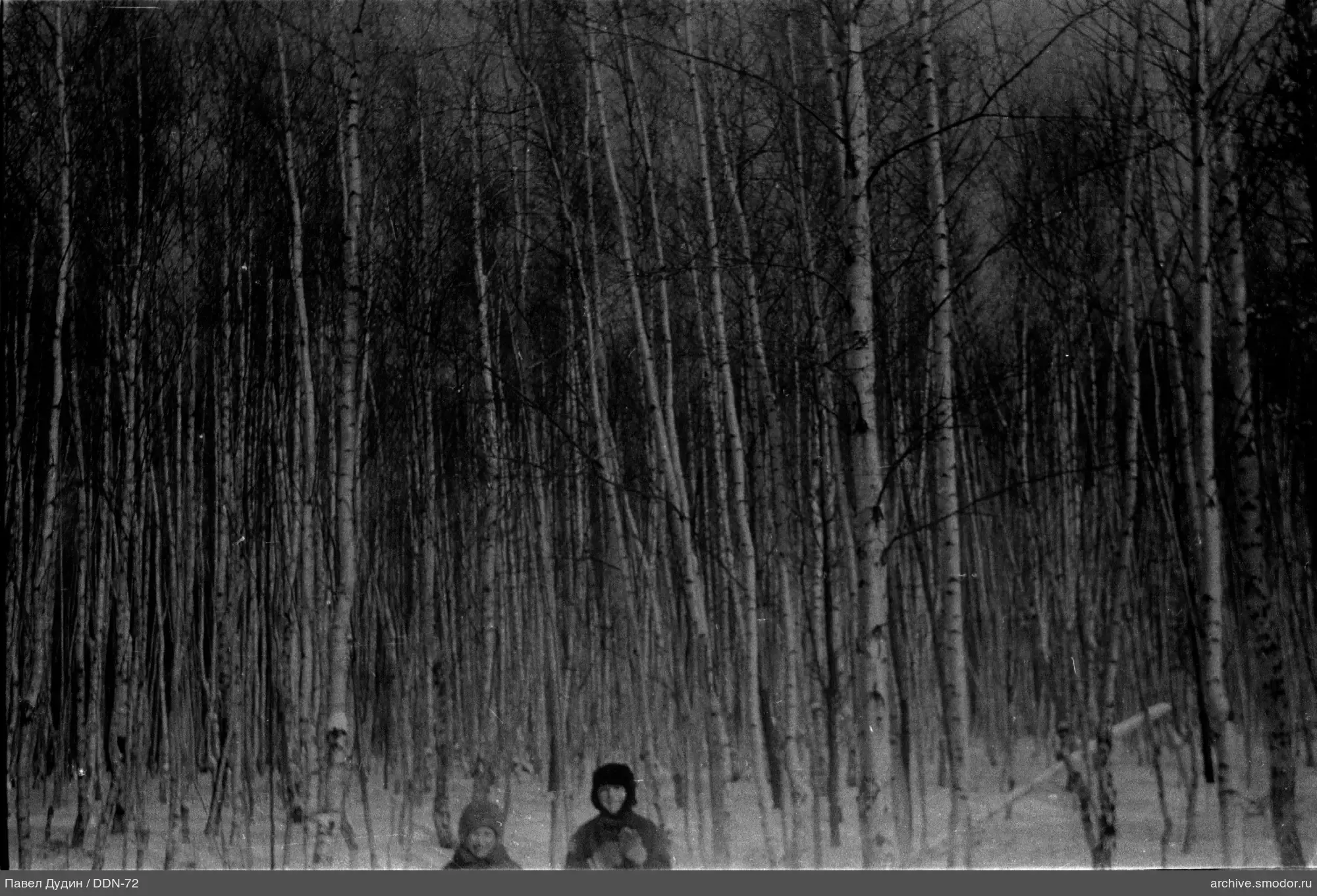 Kinder im Winterwald mit Birken