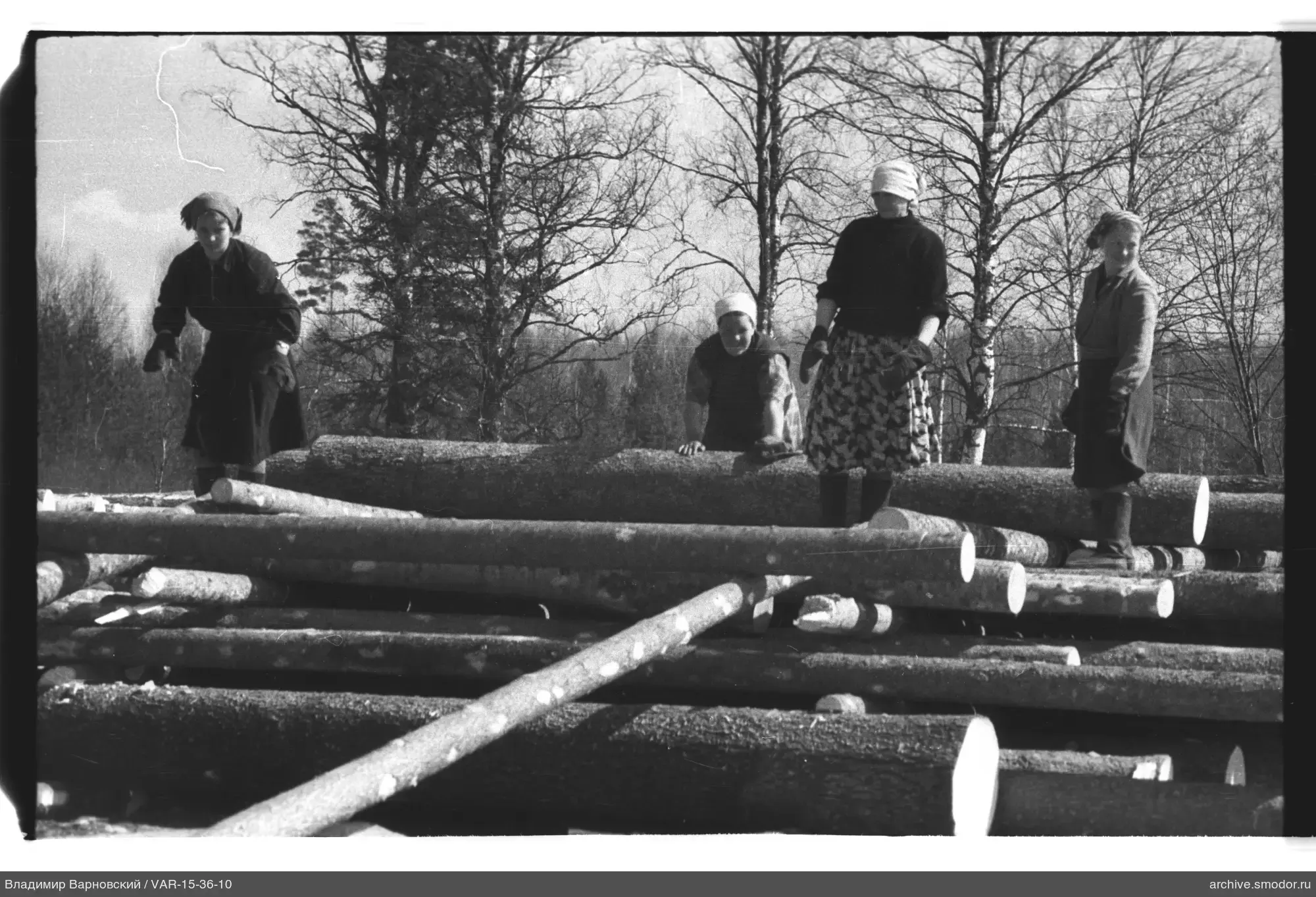 Gruppe von Frauen an Baumstämmen