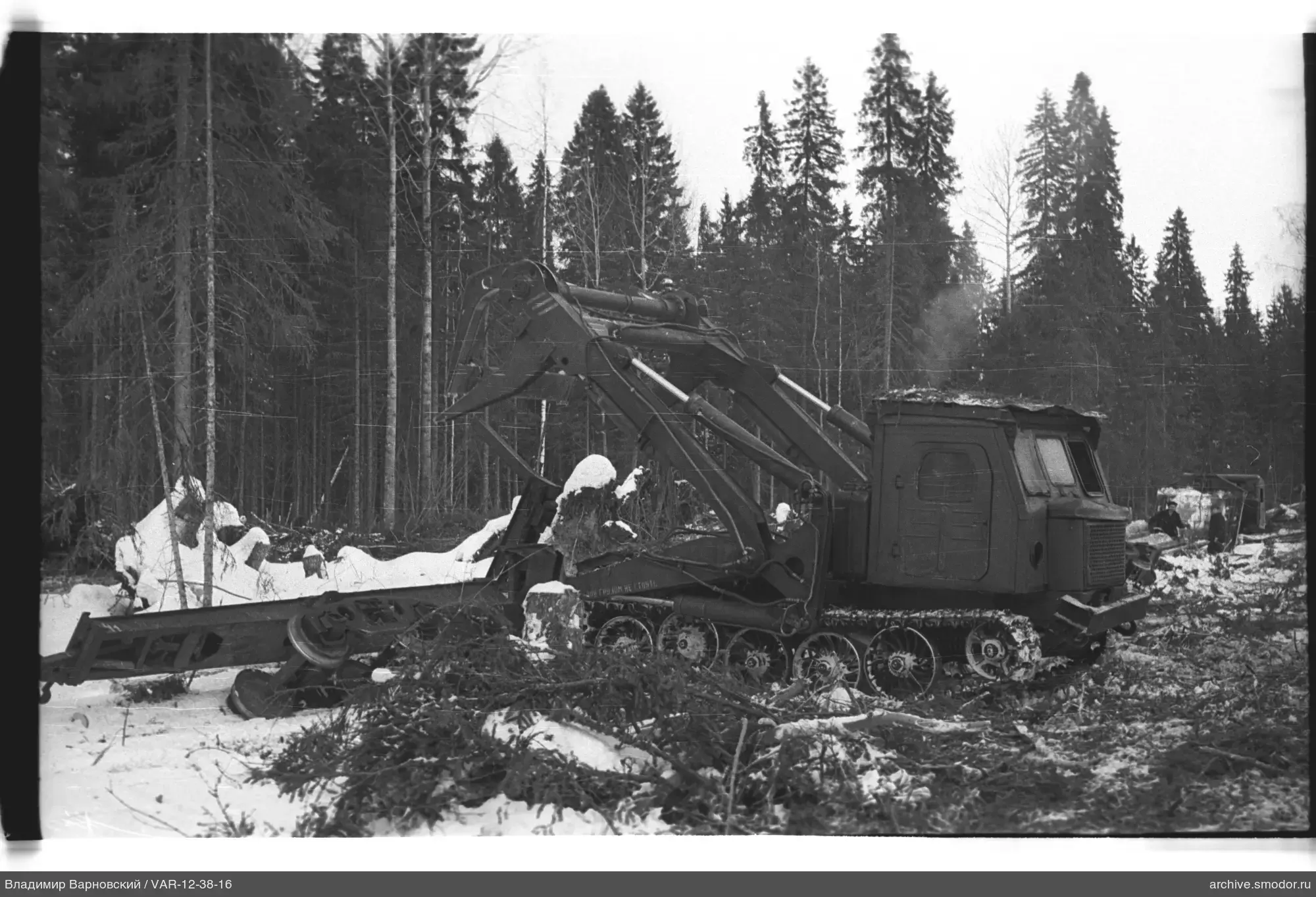 Tracked excavator among trees