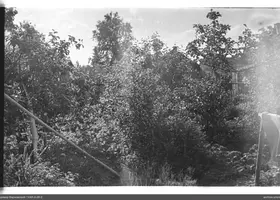 VAR-2-28-2