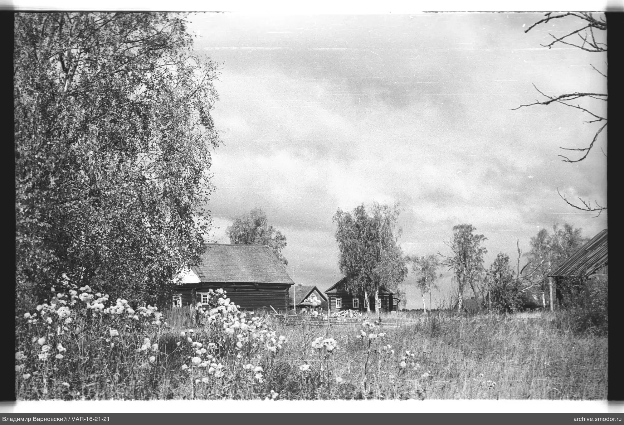 Landscape with trees and houses