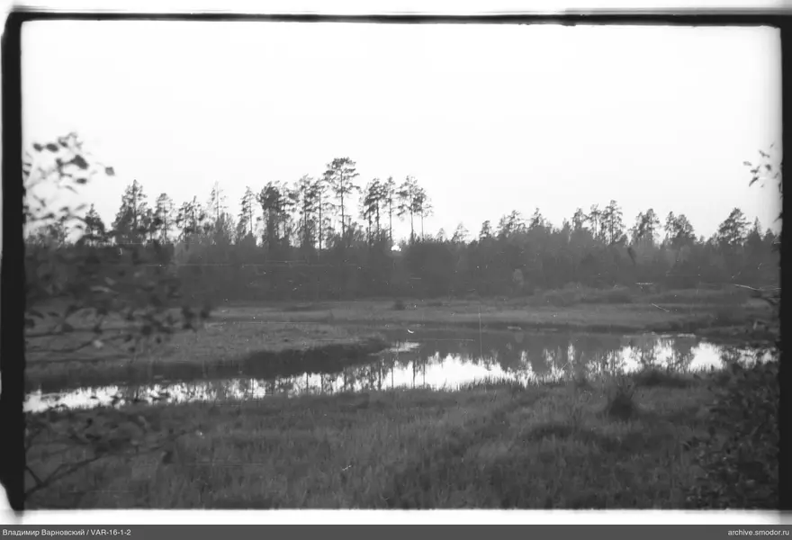 Landschaft mit Wasser und Wald