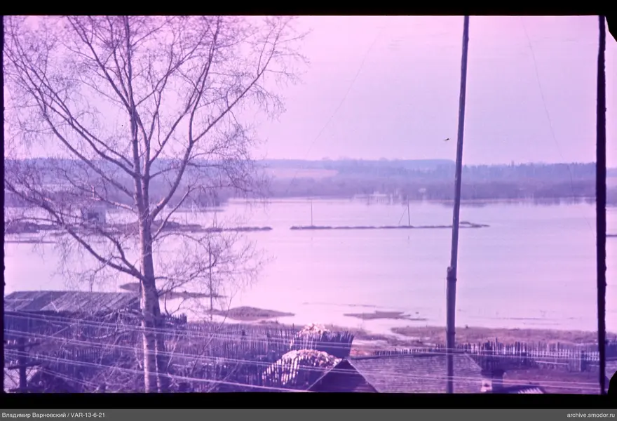 View of water and trees
