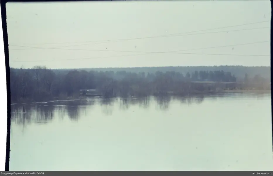 River with tree reflections