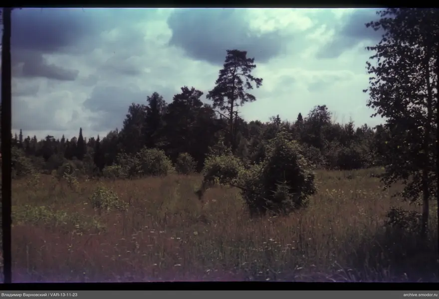 Landscape with field, forest and cloudy sky
