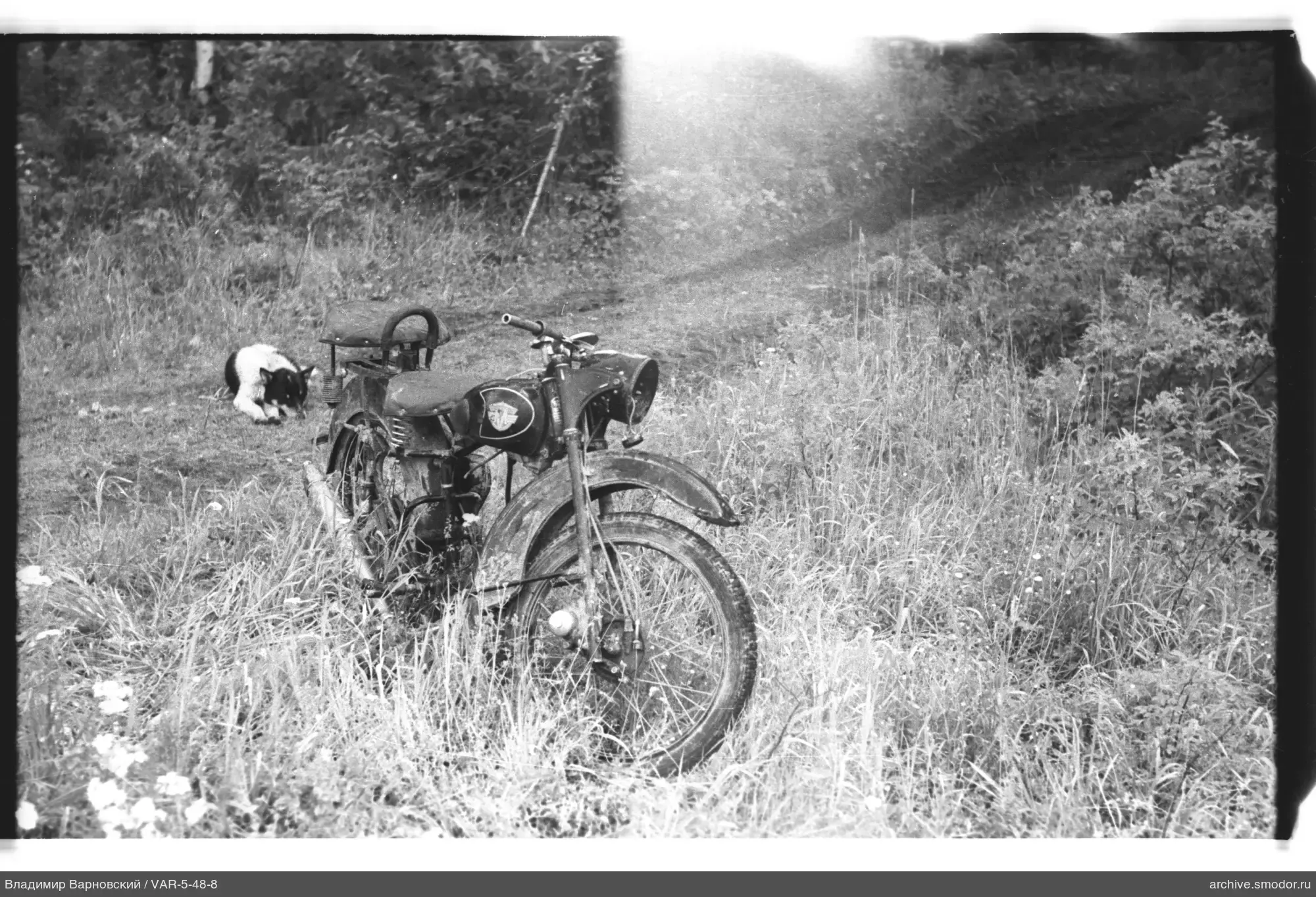 Motorcycle and dog in an open area