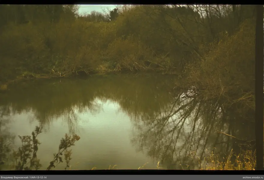Body of water with reflections of trees and shrubs
