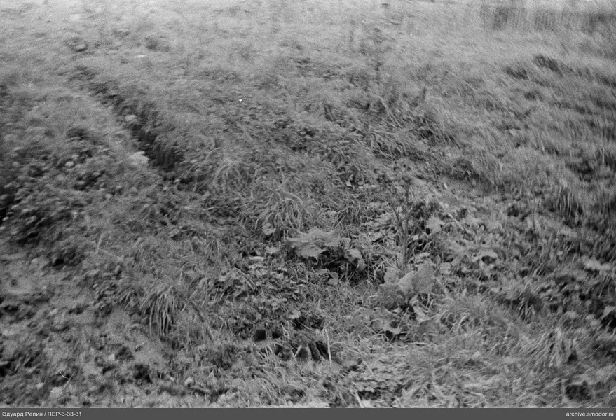Grundstück mit spärlicher Vegetation