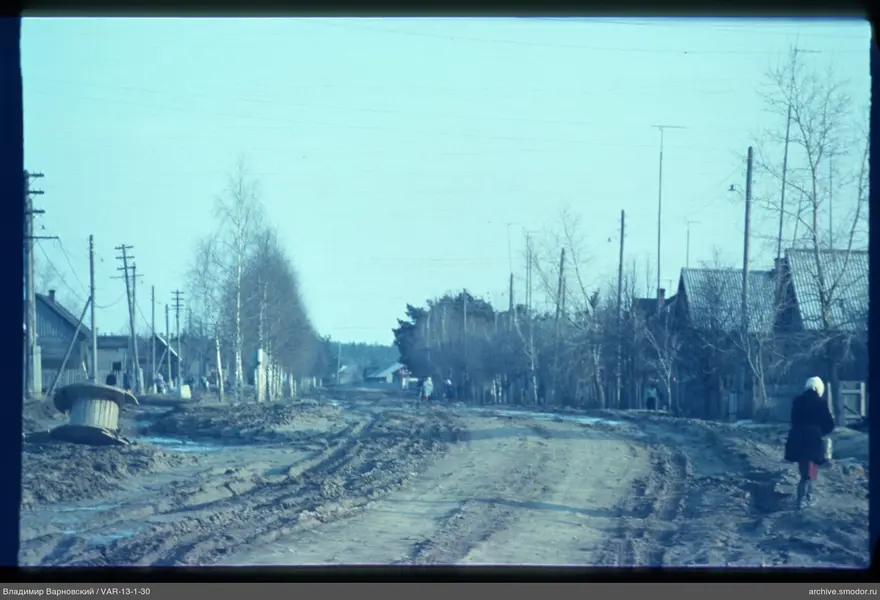 Road with woman and trees