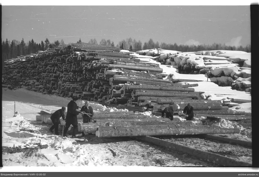 Arbeiten mit Baumstämmen im Schnee
