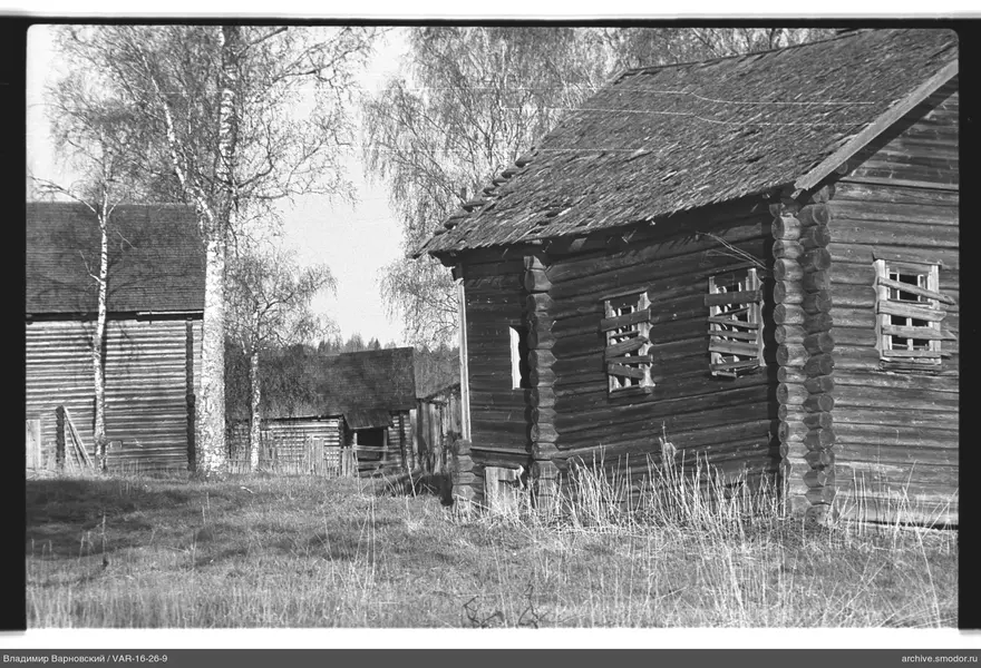 Holzgebäude und kahle Birken