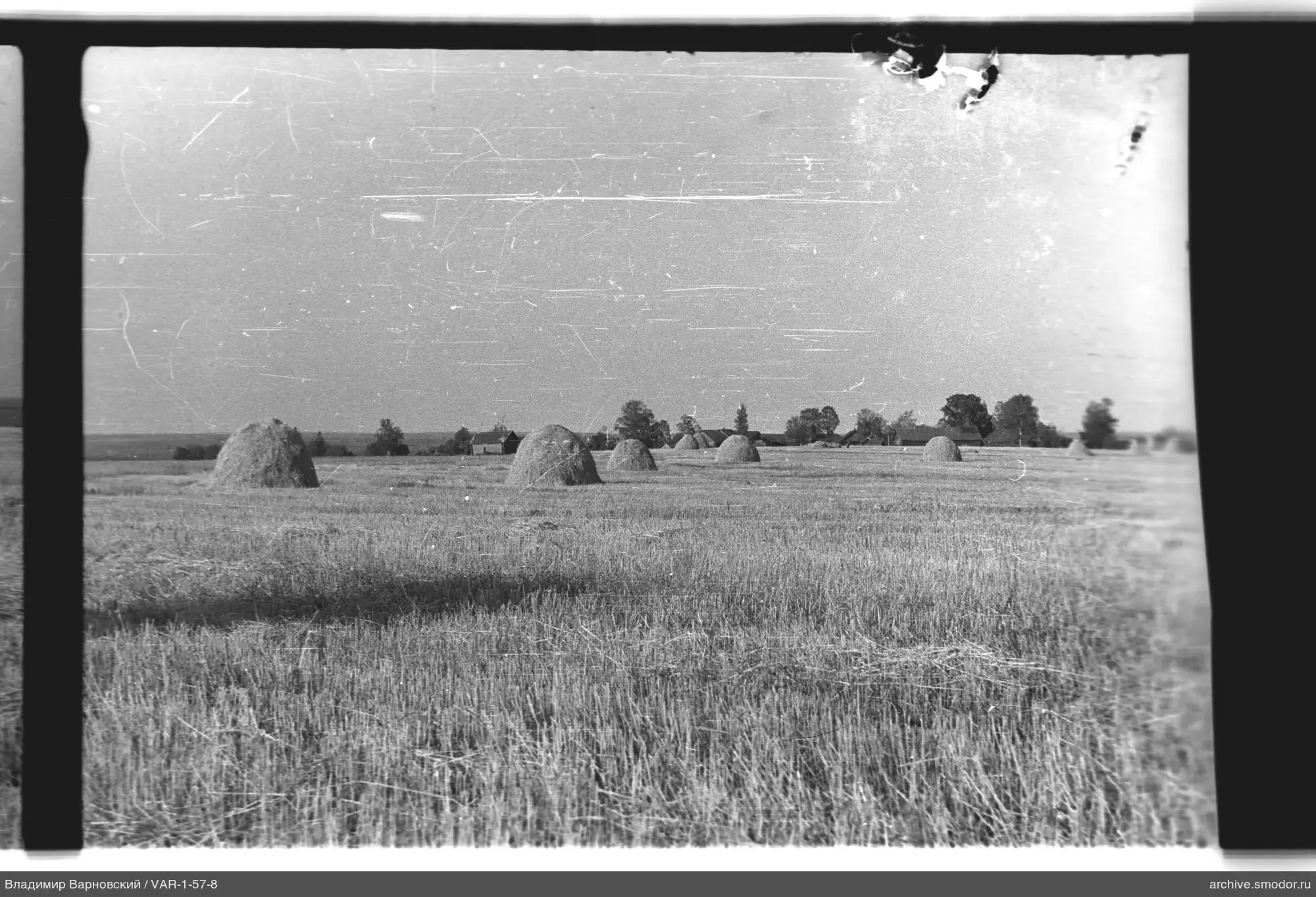 Feld mit Heuhaufen und Bäumen