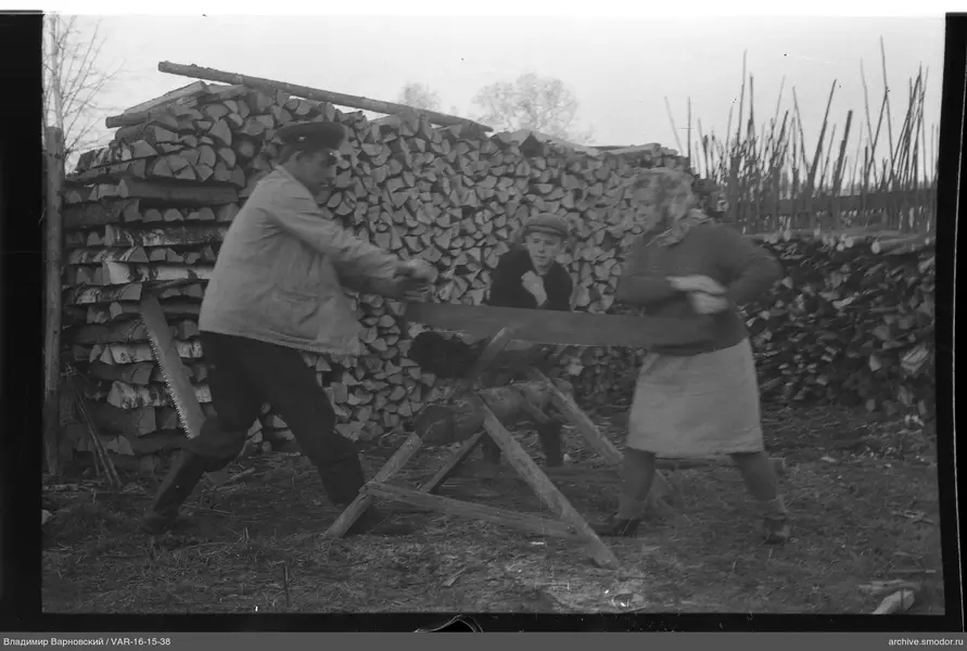 Mann und Frau sägen einen Baumstamm