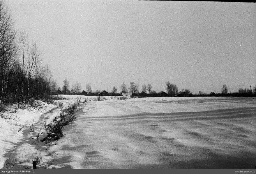 Landschaft mit verschneitem Feld und Bäumen