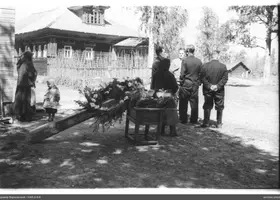 VAR-2-8-6