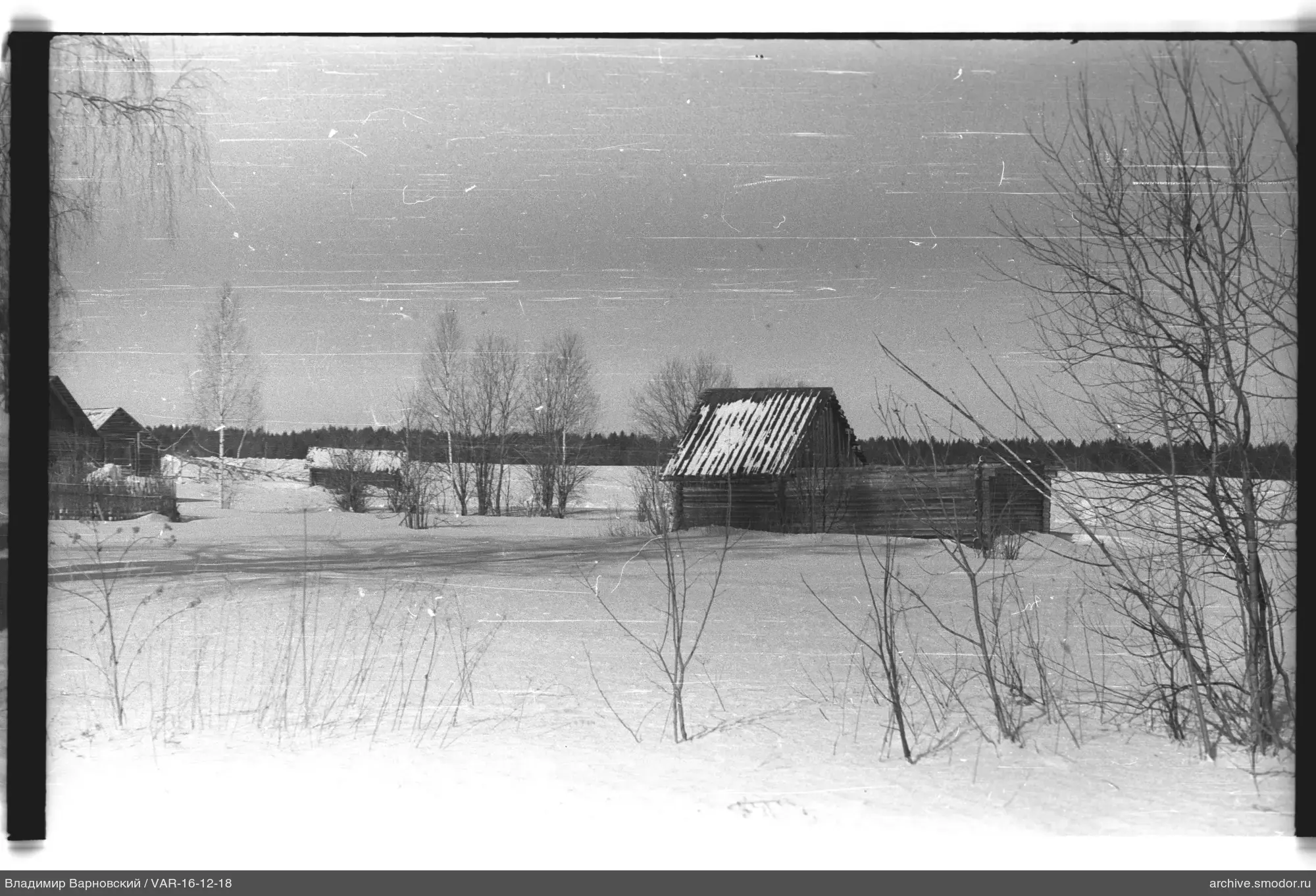 Landschaft mit Holzhaus und Wald