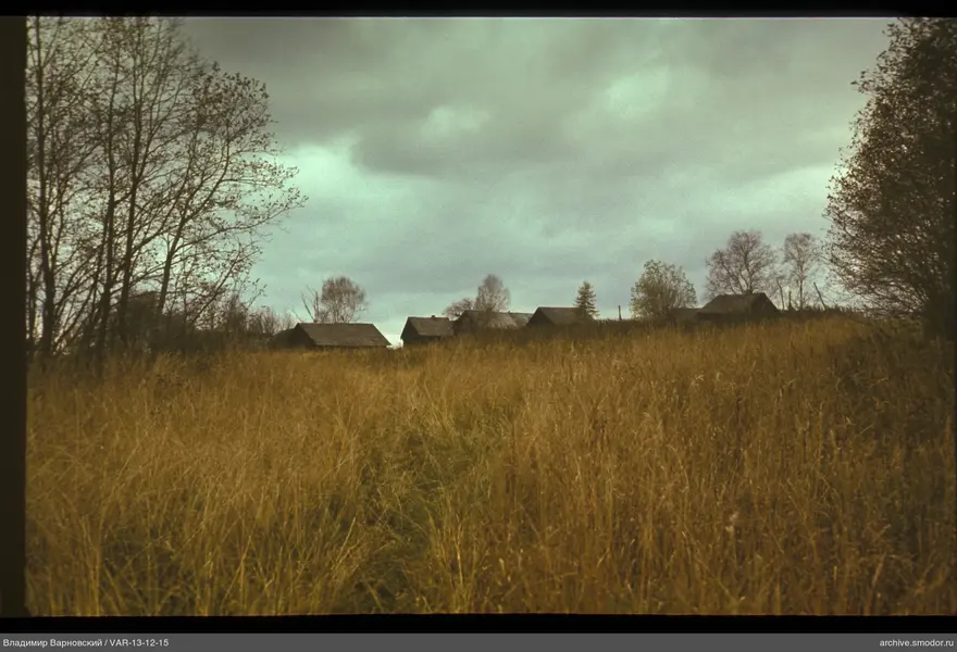 Scenic view with wooden houses and dry grasses