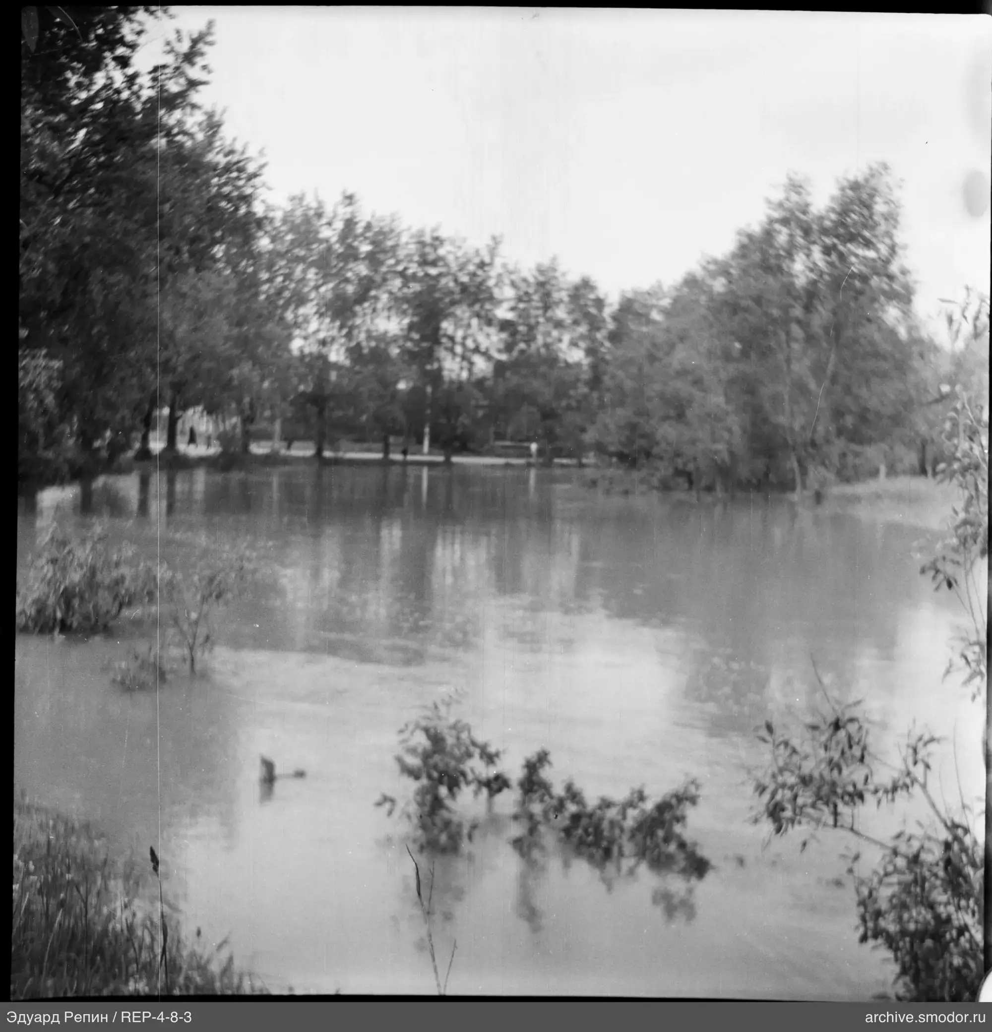 Wasserfläche mit Baumspiegelungen