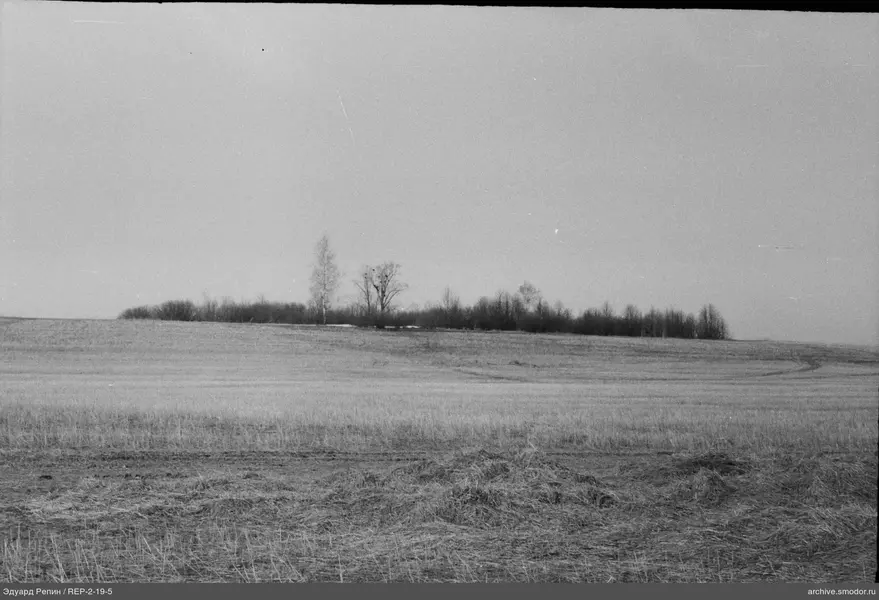 Landschaft mit Feld und Wald