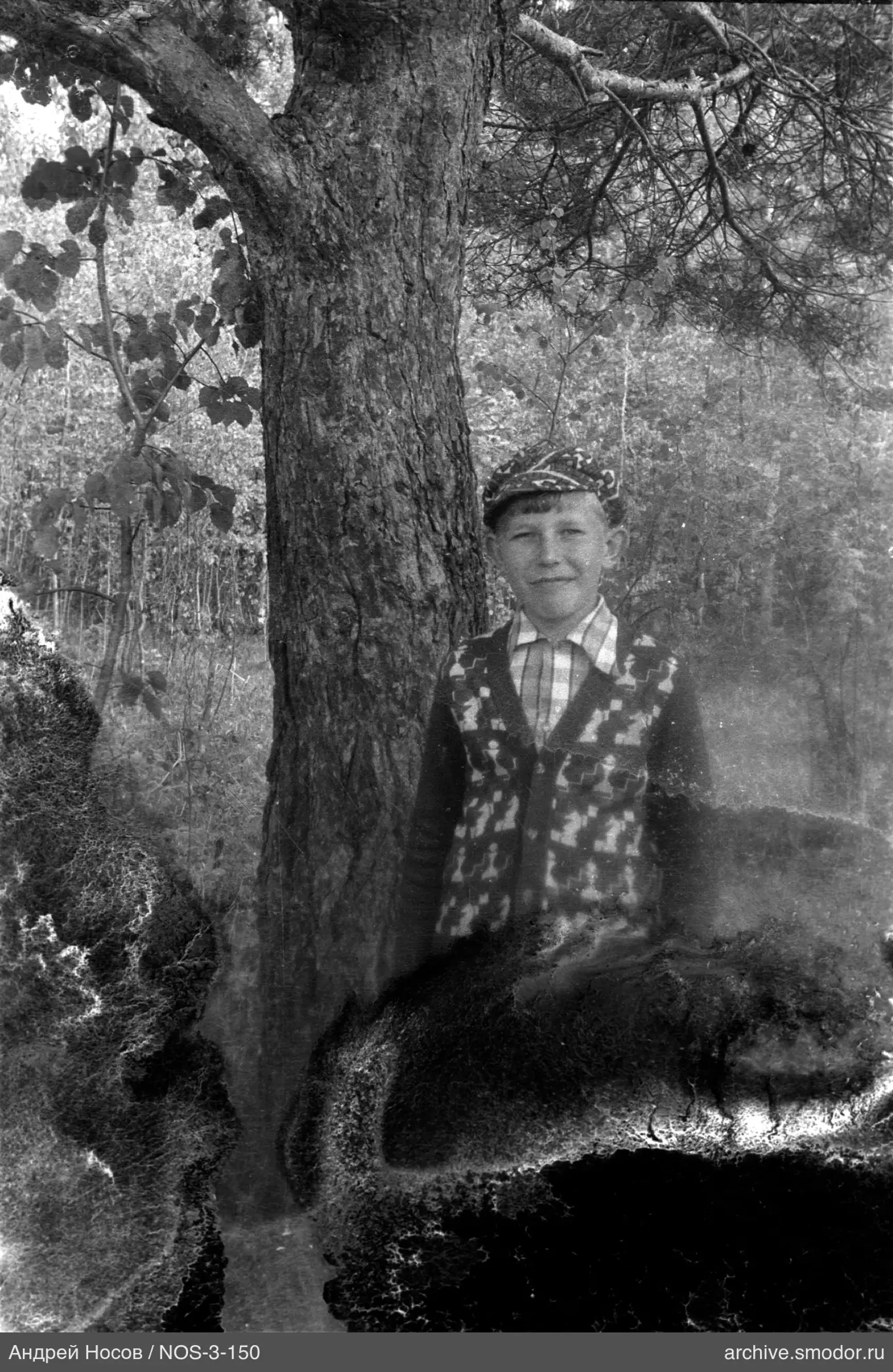 Портрет мальчика у дерева