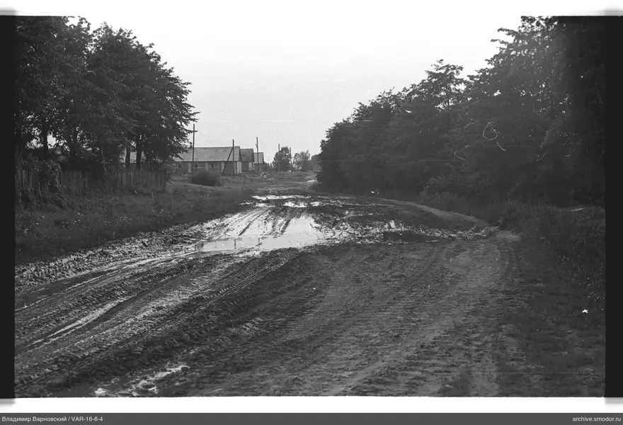 Straße mit Pfützen und Bäumen