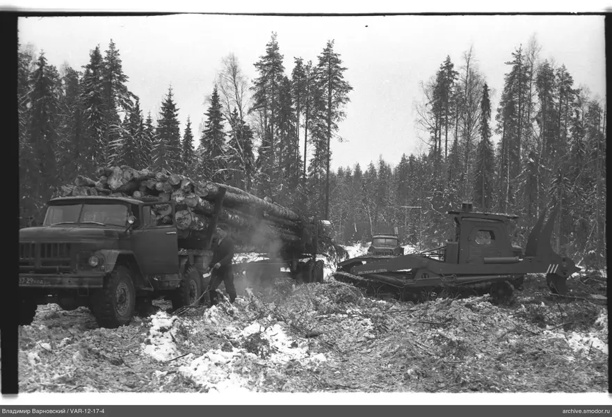 Truck with logs and worker on snow