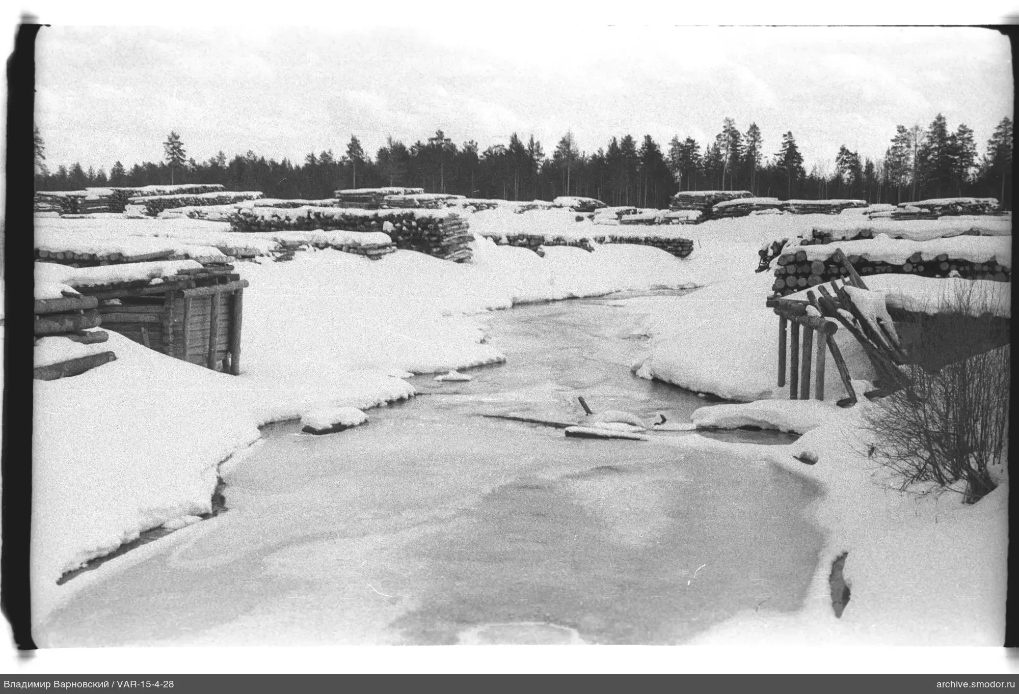 Schneebedecktes Gebiet mit Holzstapeln und Wald